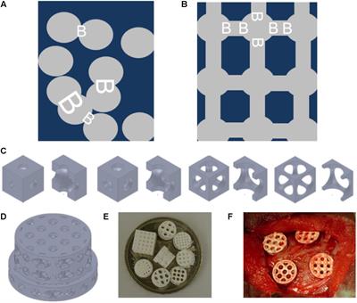 Osteoconductive Microarchitecture of Bone Substitutes for Bone Regeneration Revisited